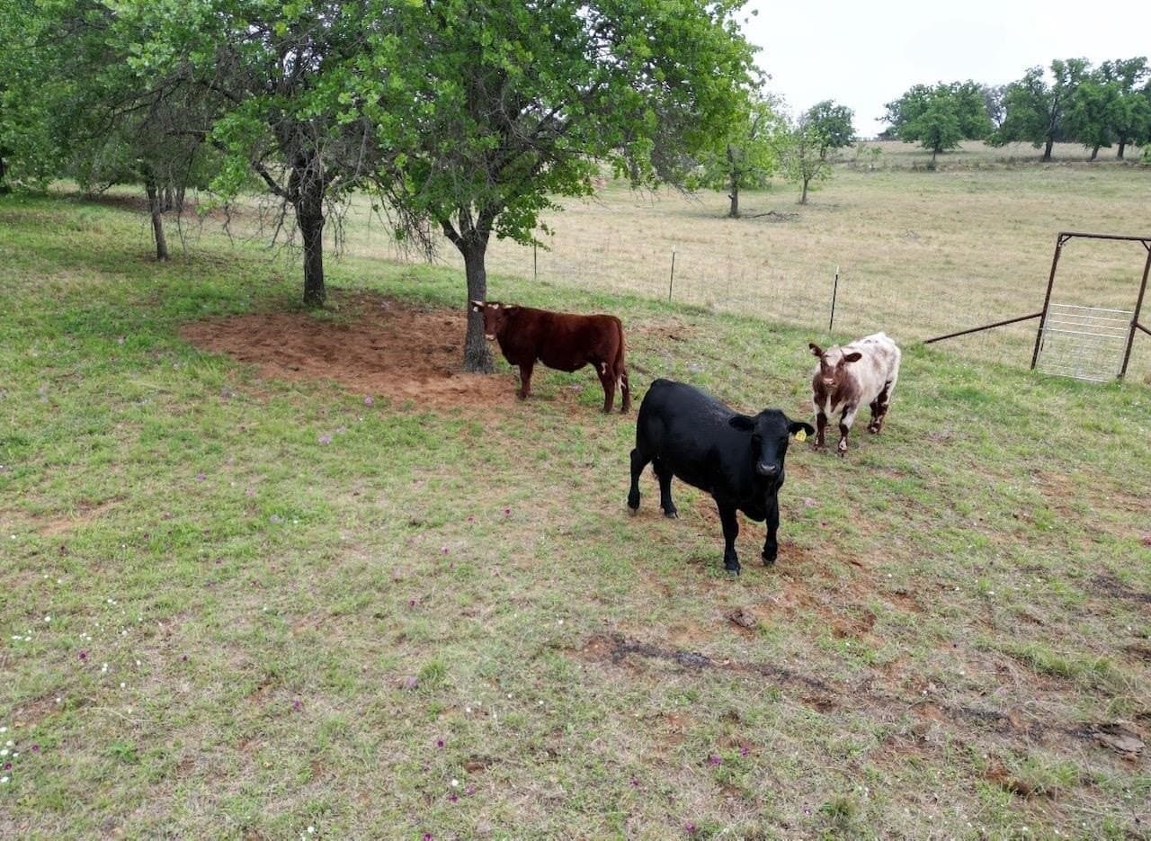 15.15 acres in San Saba County featured view