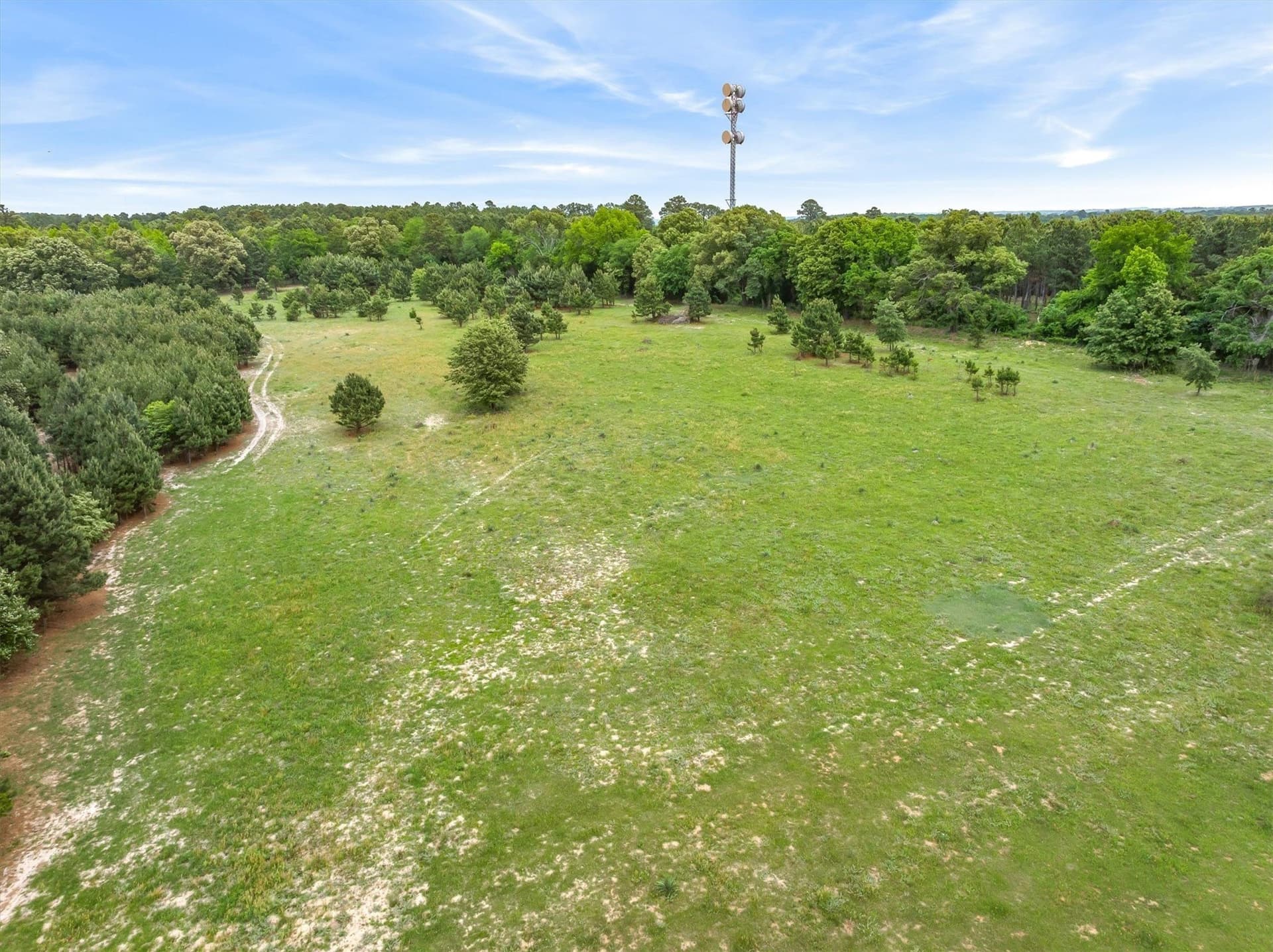 25 acres in Smith County - photo 7