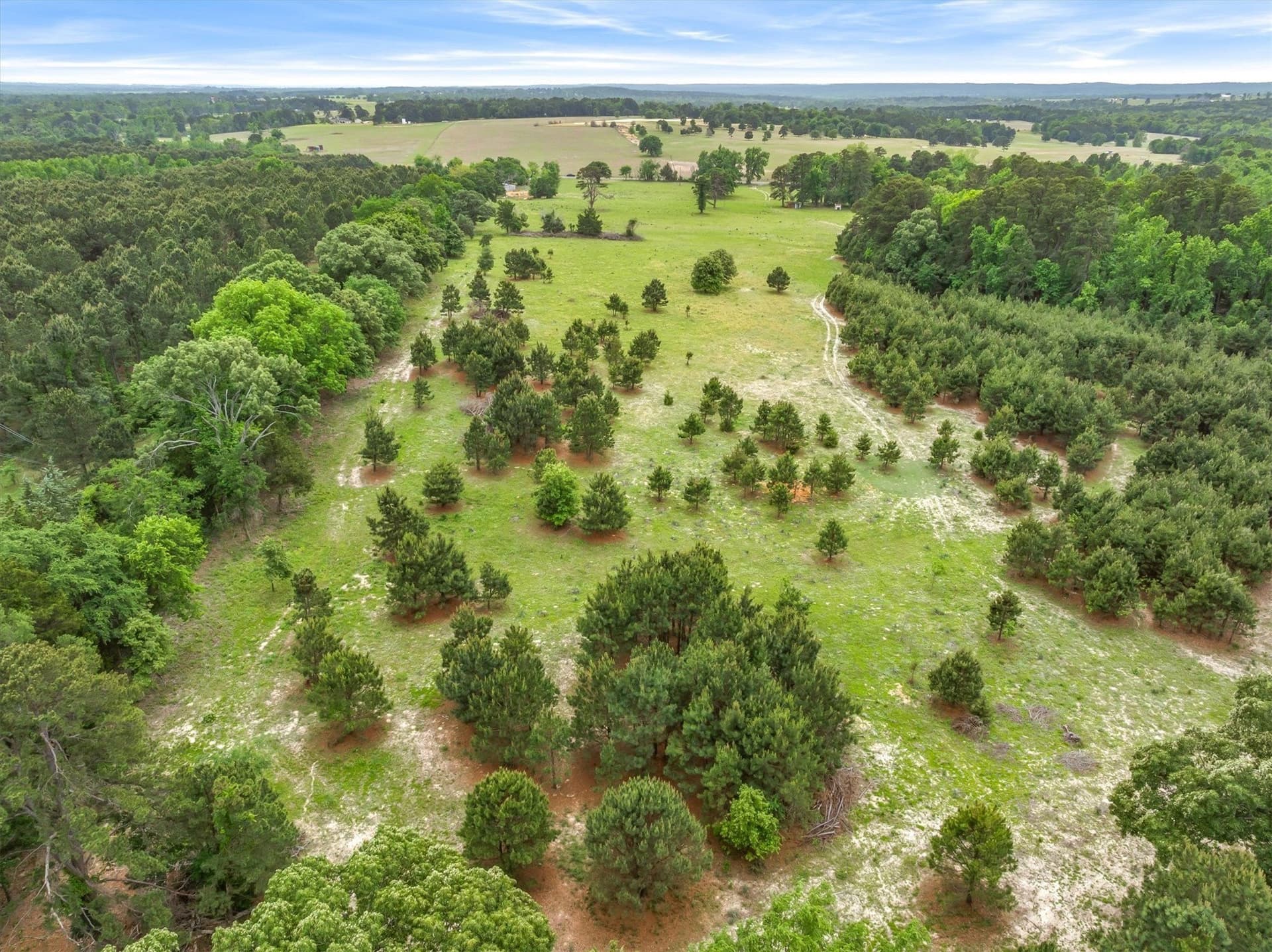 25 acres in Smith County - photo 9