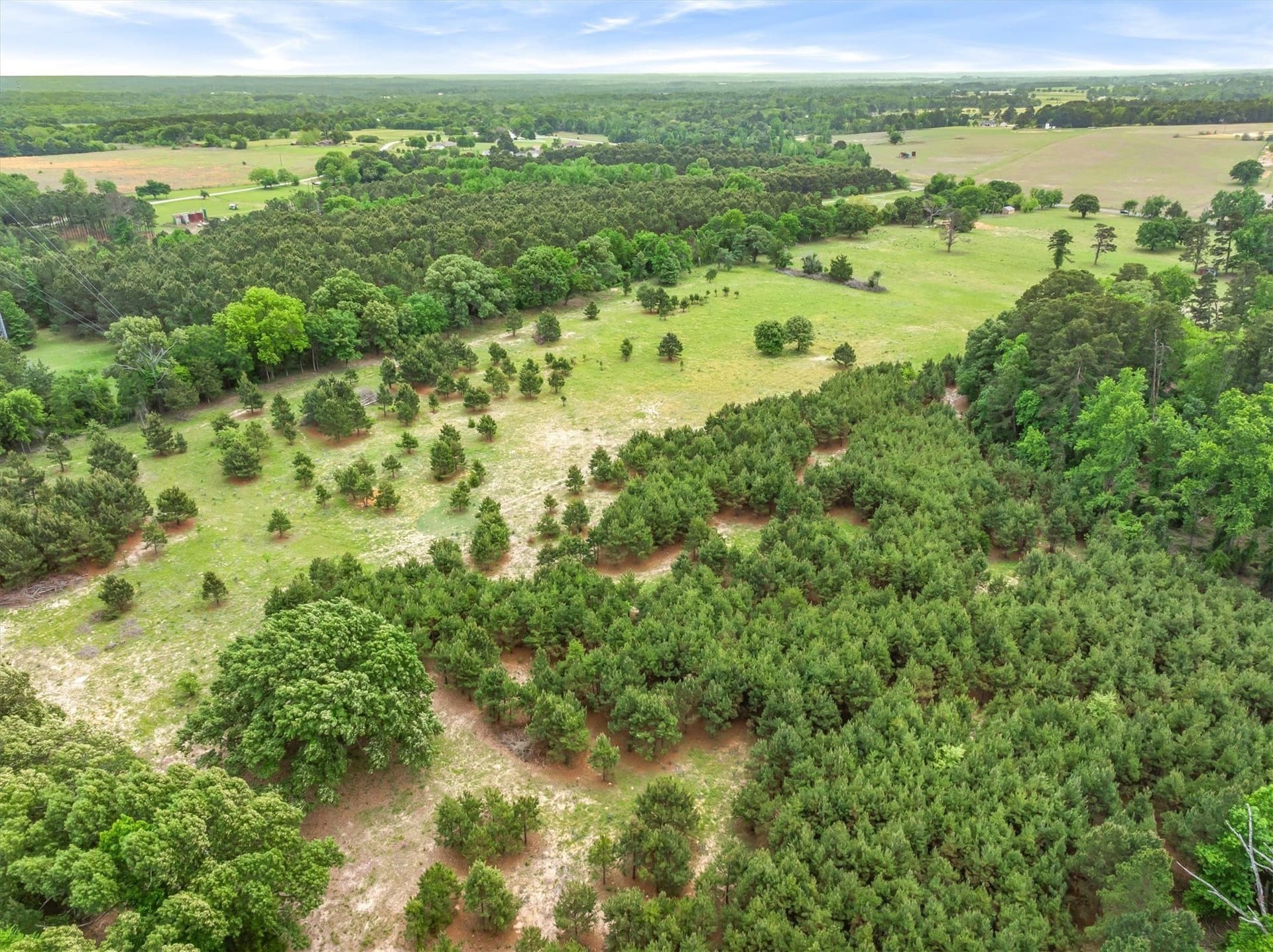 25 acres in Smith County - photo 10