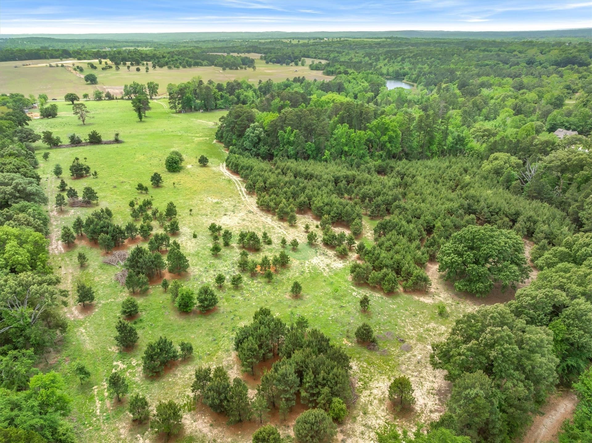 25 acres in Smith County - photo 8