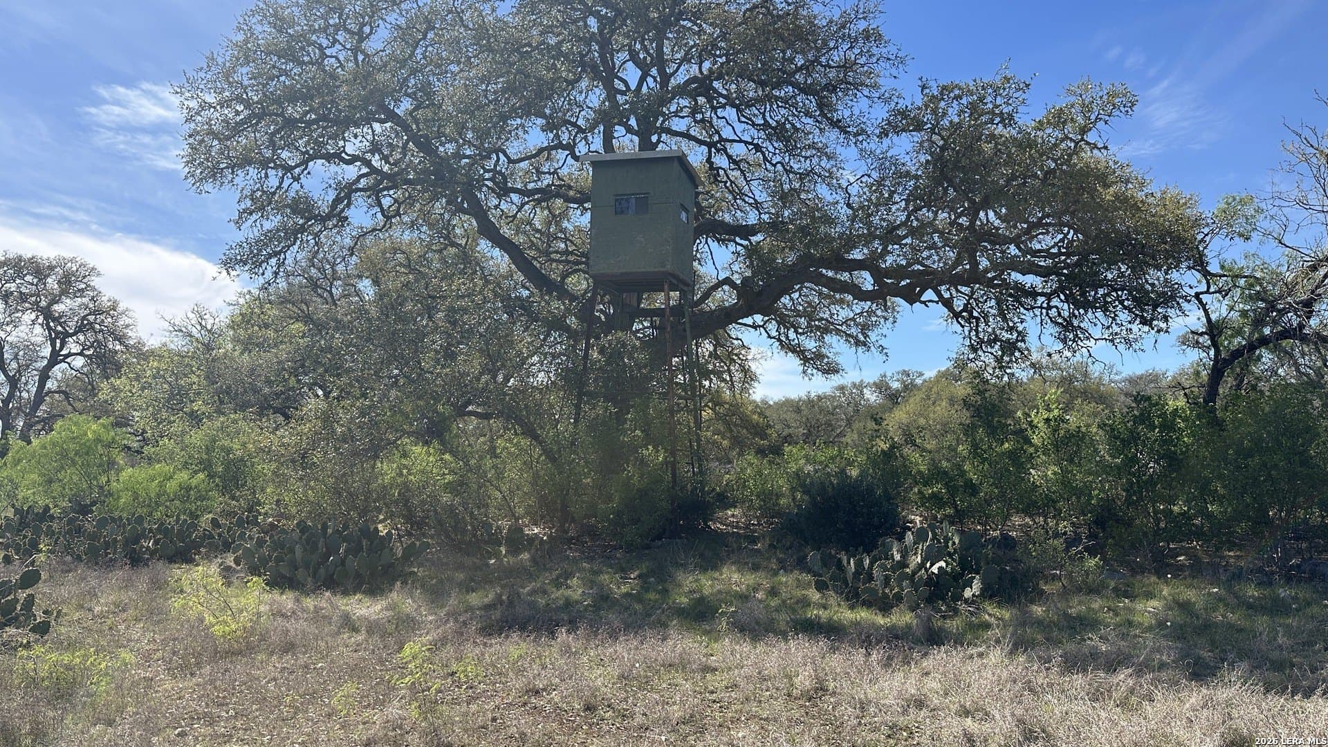 75 acres in Comal County - photo 14