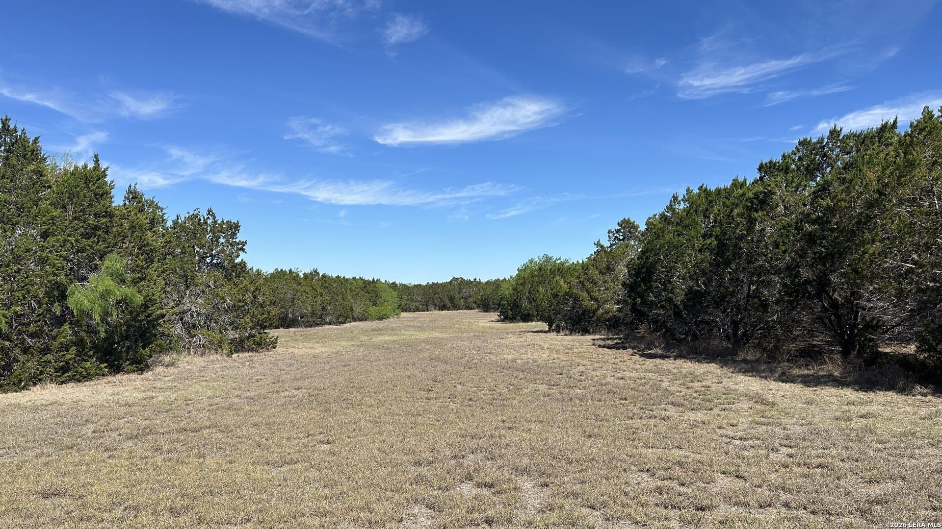 75 acres in Comal County - photo 18