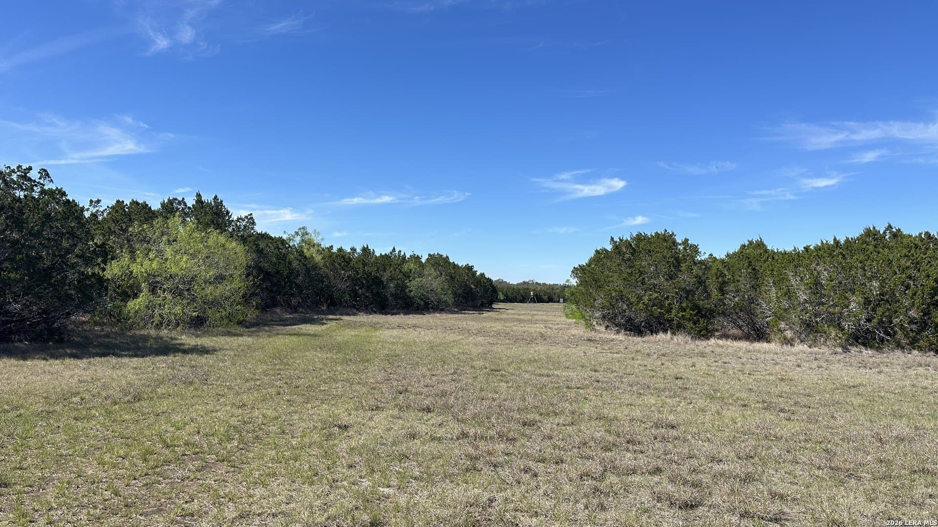 75 acres in Comal County - photo 19