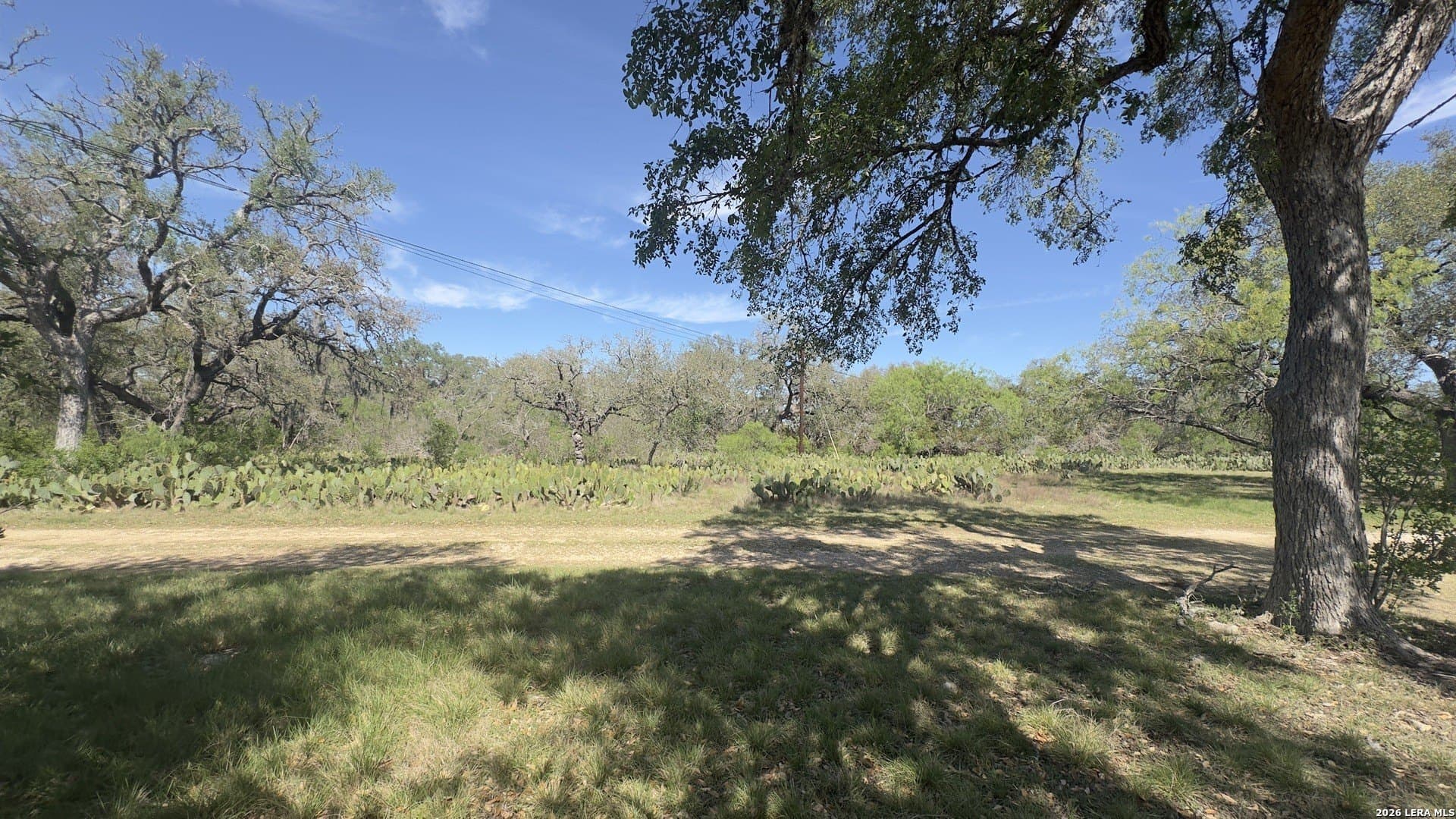 75 acres in Comal County - photo 20