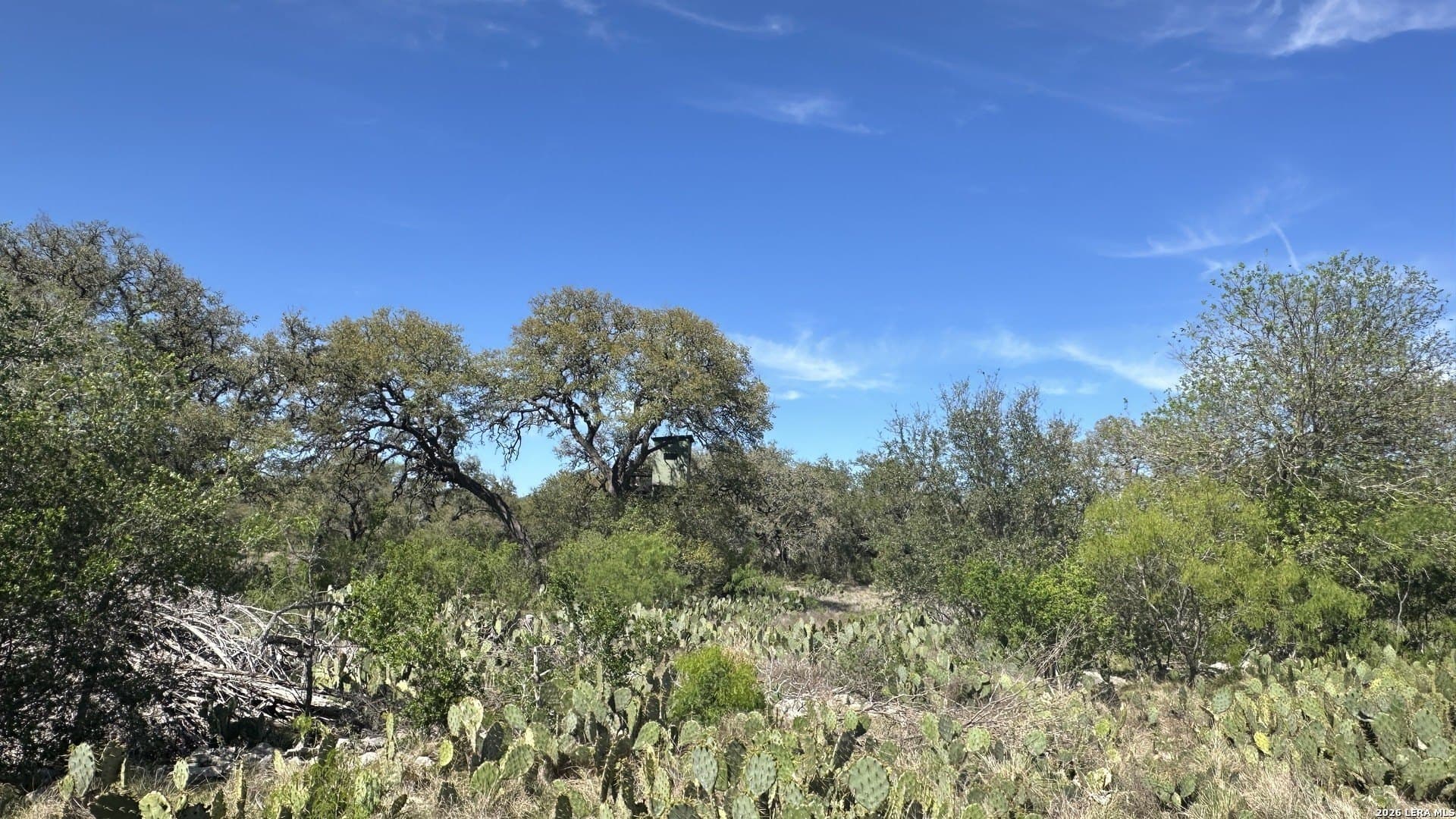75 acres in Comal County - photo 15