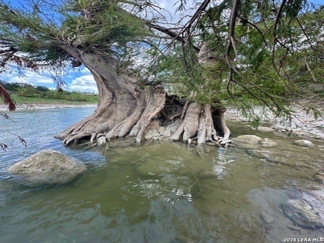 75 acres in Comal County - photo 6