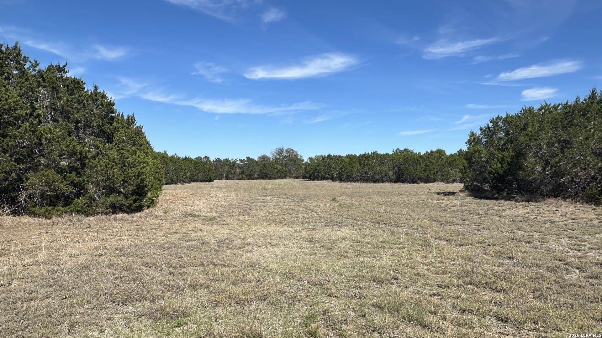 75 acres in Comal County - photo 16