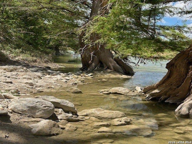 75 acres in Comal County - photo 8