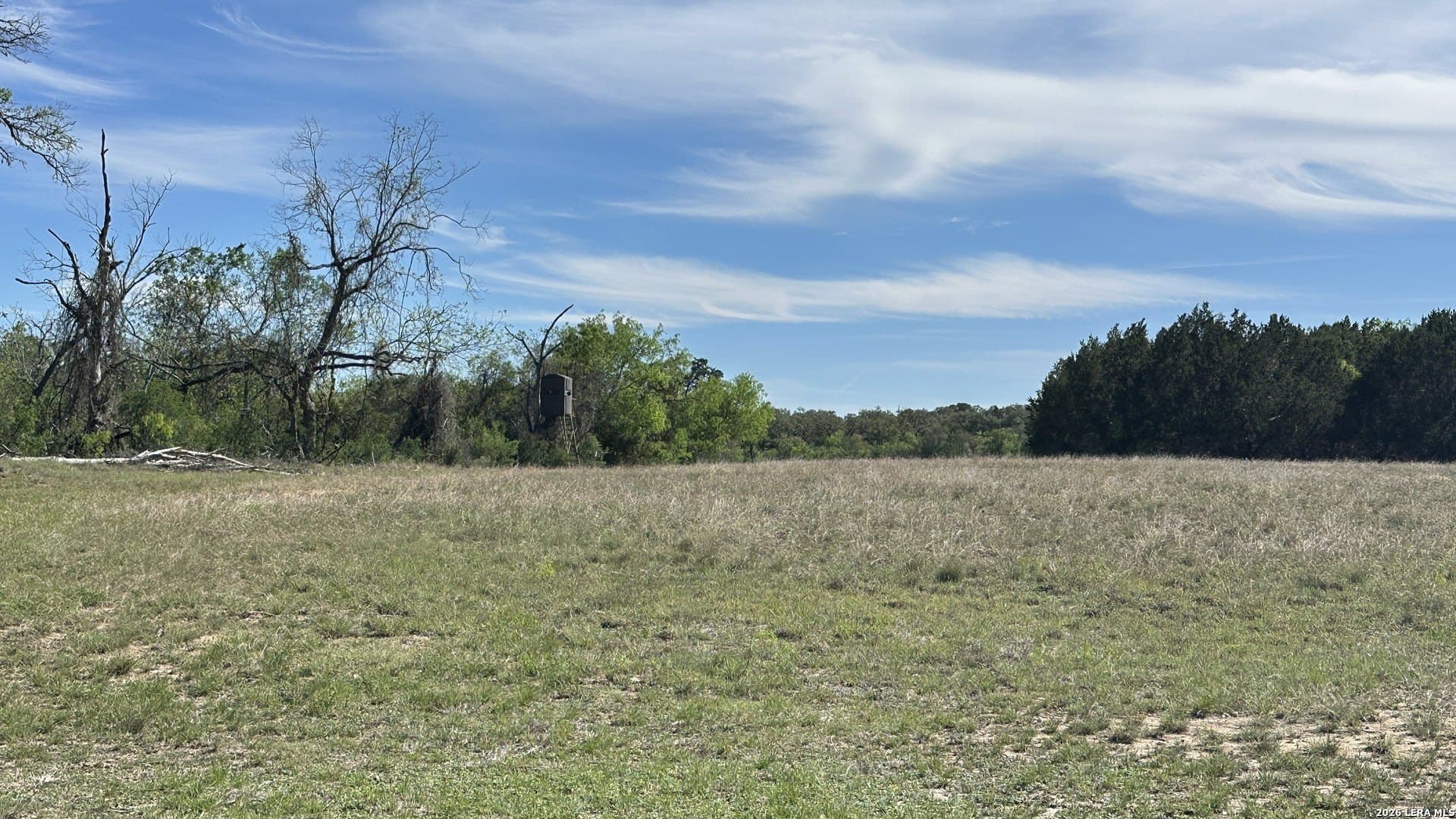 75 acres in Comal County - photo 12