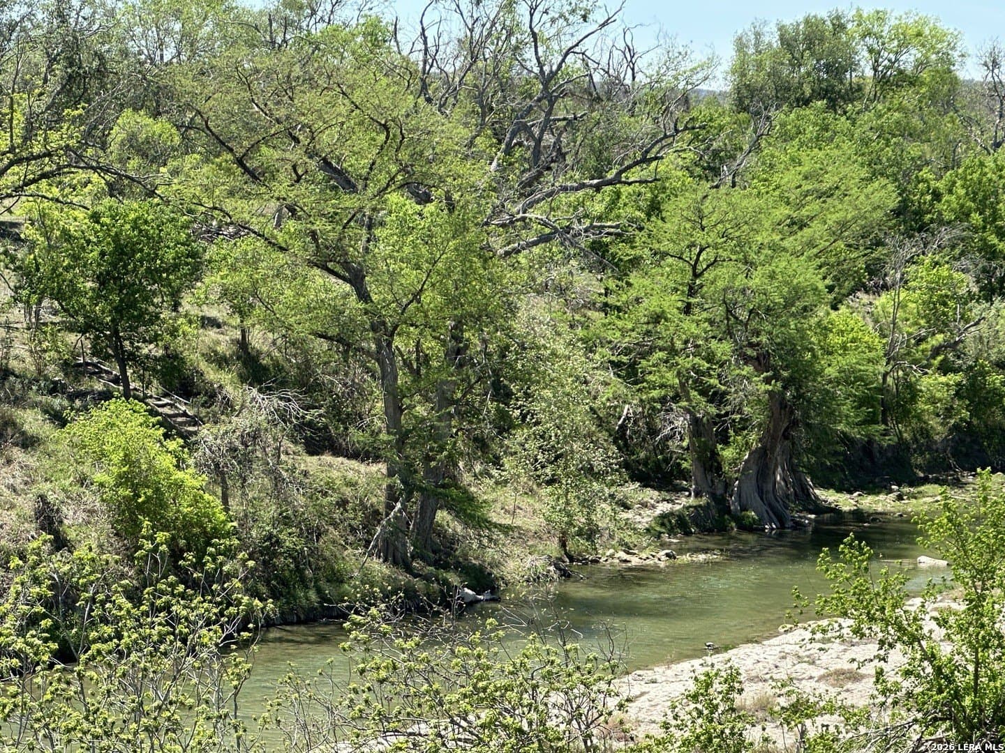 75 acres in Comal County gallery image 3