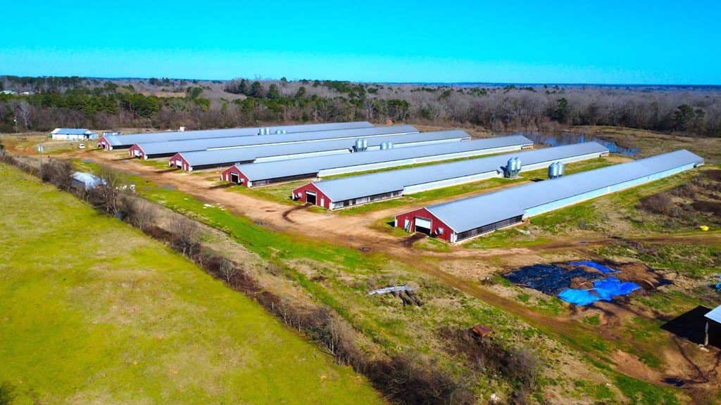 42 acres in Texas County featured view