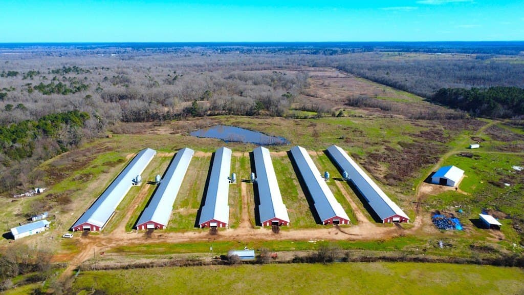 42 acres in Texas County gallery image 3