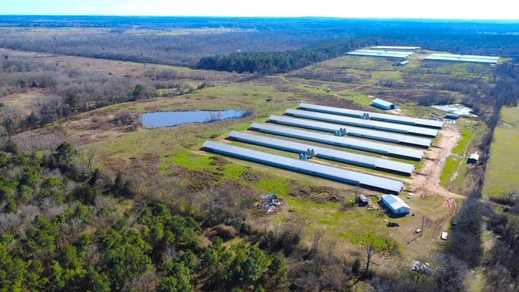 42 acres in Texas County gallery image 2