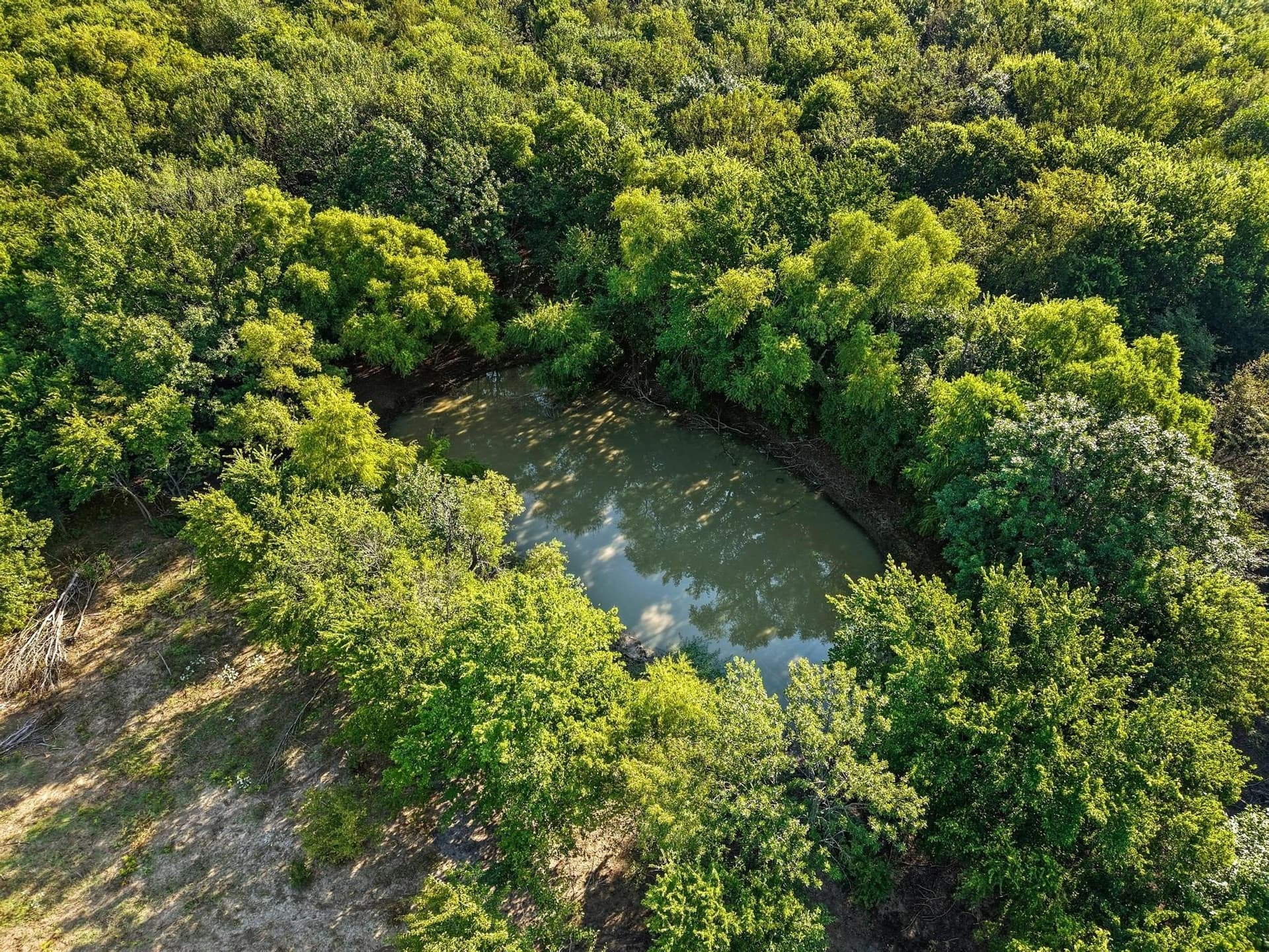 10 acres in Collin County - photo 7