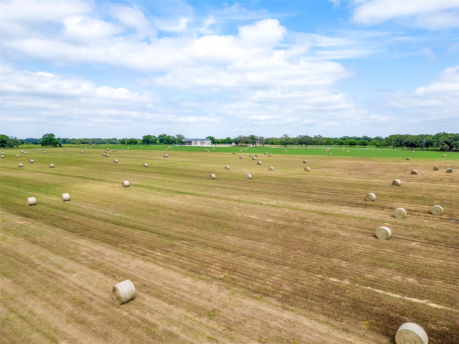 19 acres in Montague County - photo 2