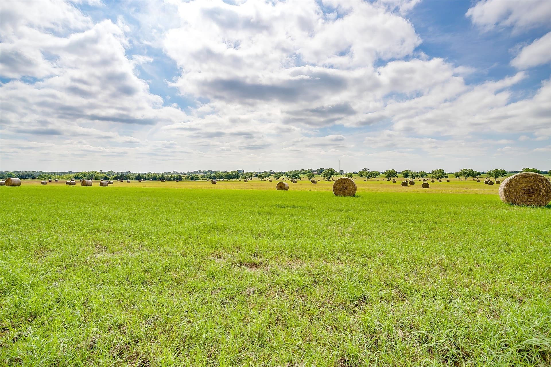 19 acres in Montague County - photo 3