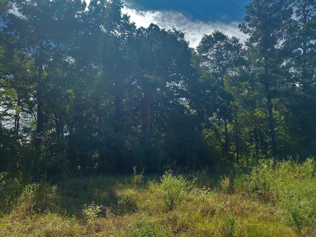 2.94 acres in Texas County gallery image 2