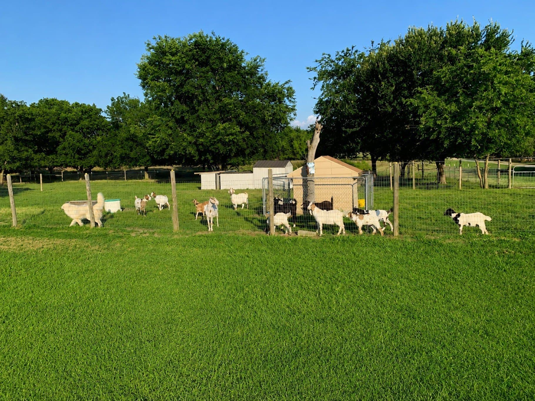 10 acres in Kaufman County - photo 39