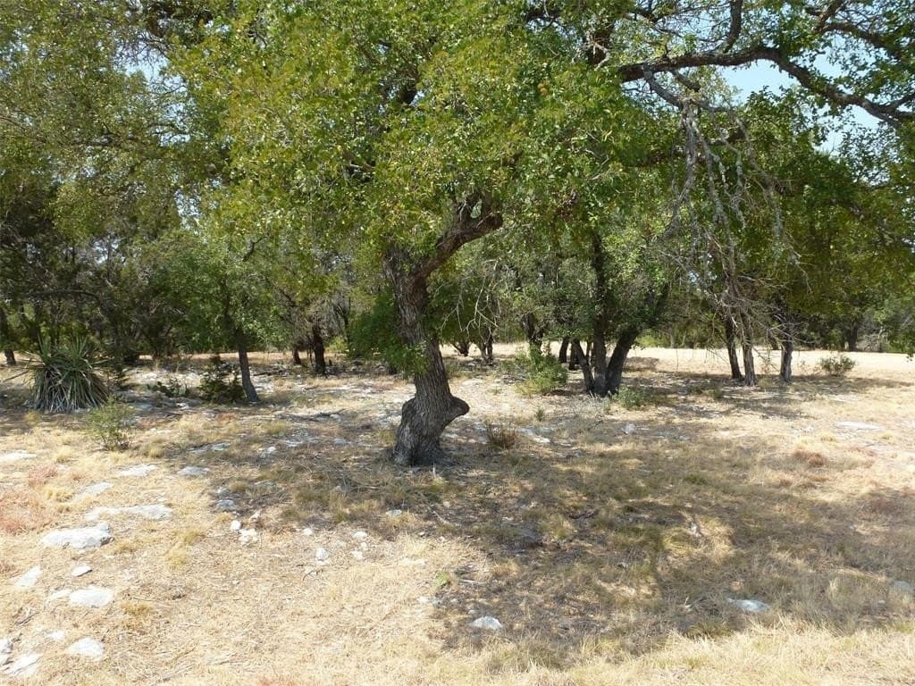 0.35 acres in Llano County gallery image 4