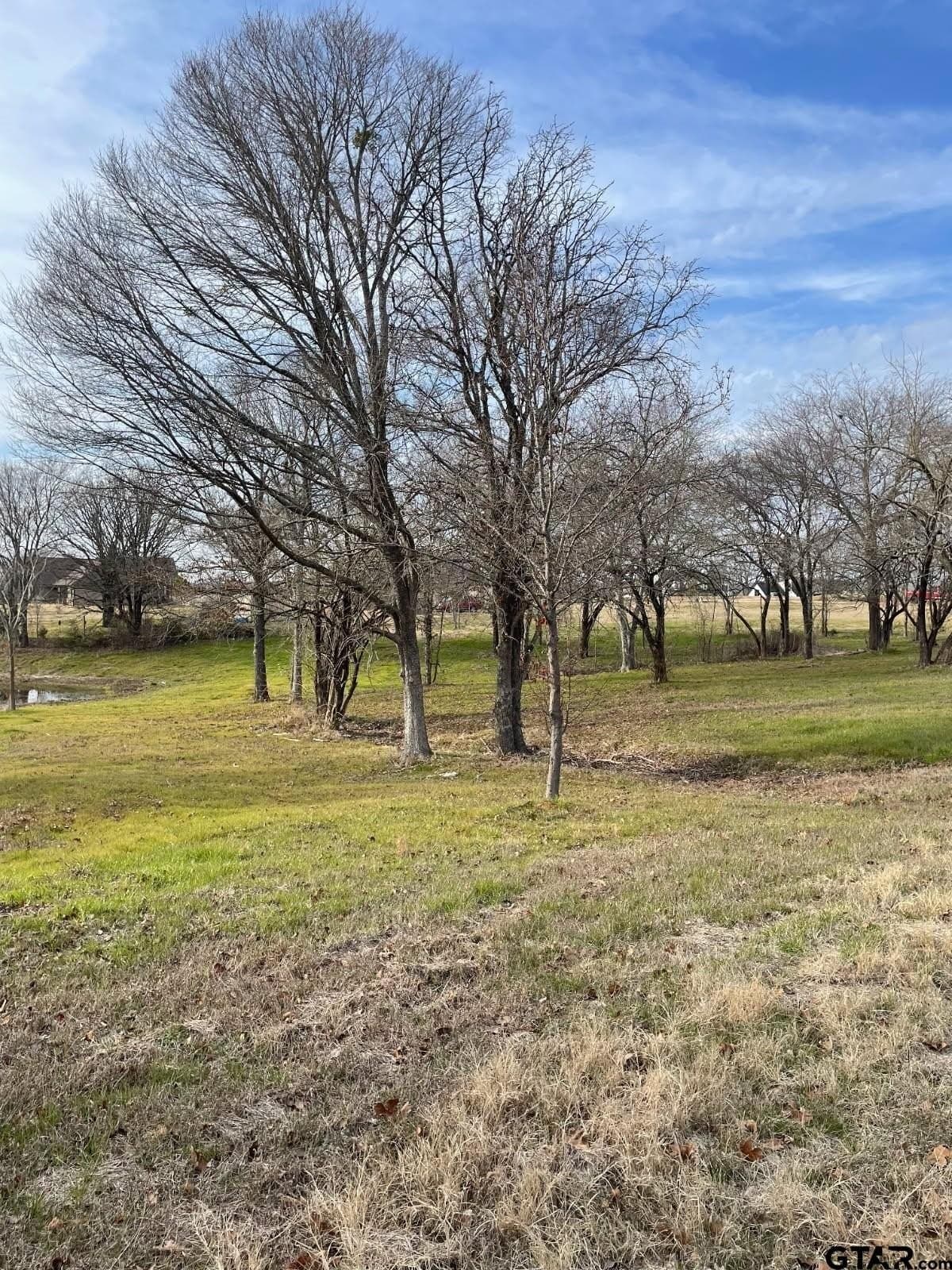 2.53 acres in Henderson County - photo 15