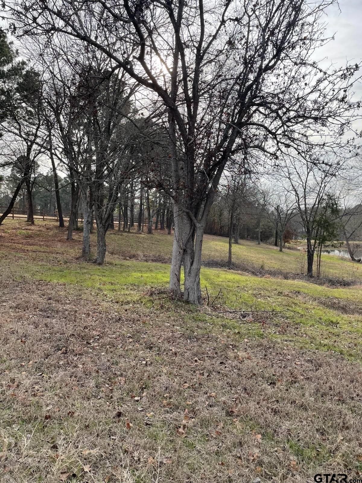 2.53 acres in Henderson County - photo 16