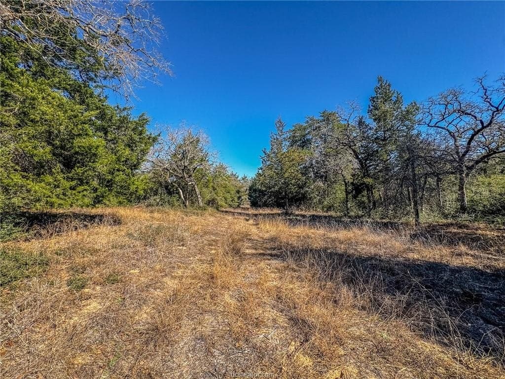 10 acres in Burleson County gallery image 2