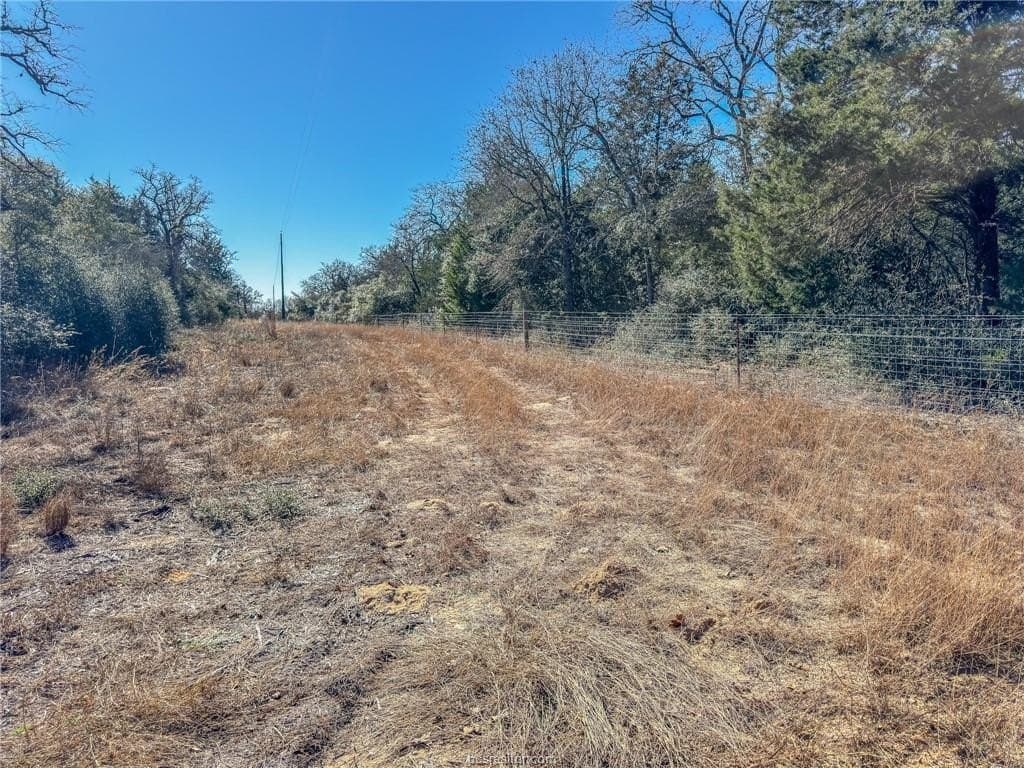 10 acres in Burleson County gallery image 4