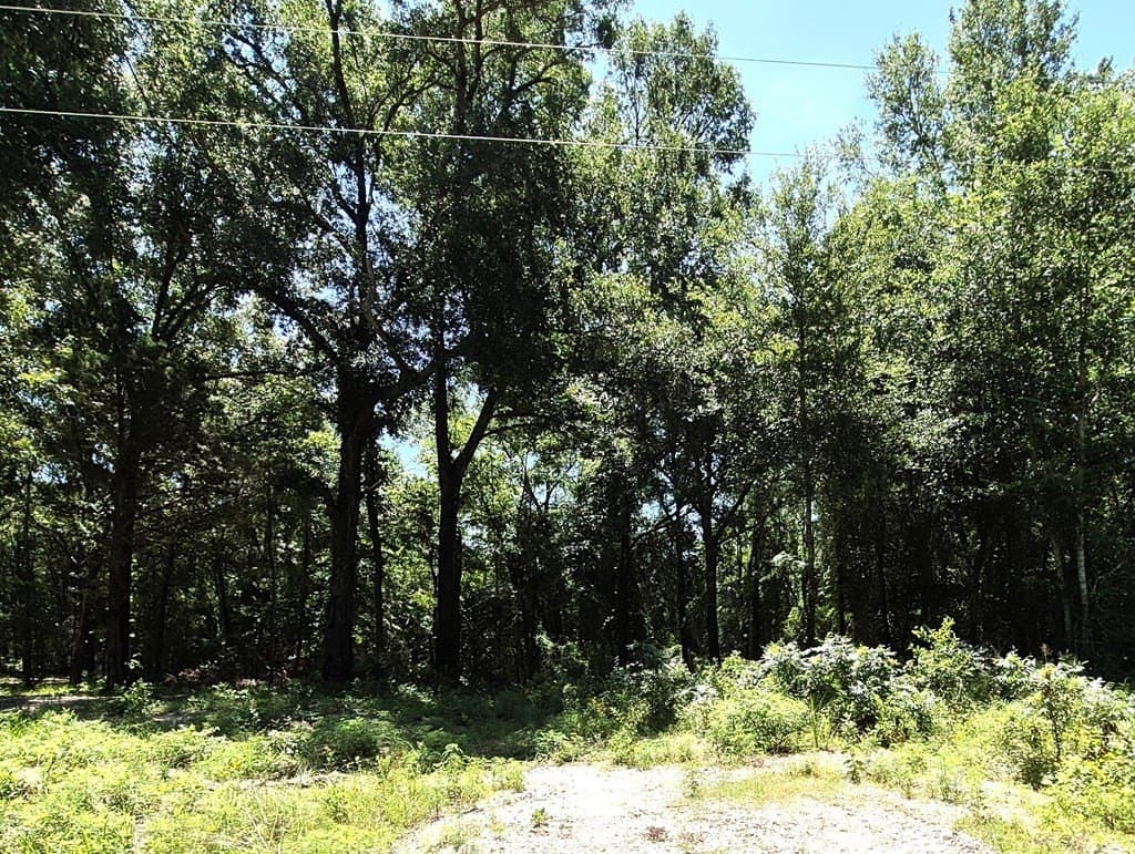 13.05 acres in Van Zandt County - photo 13