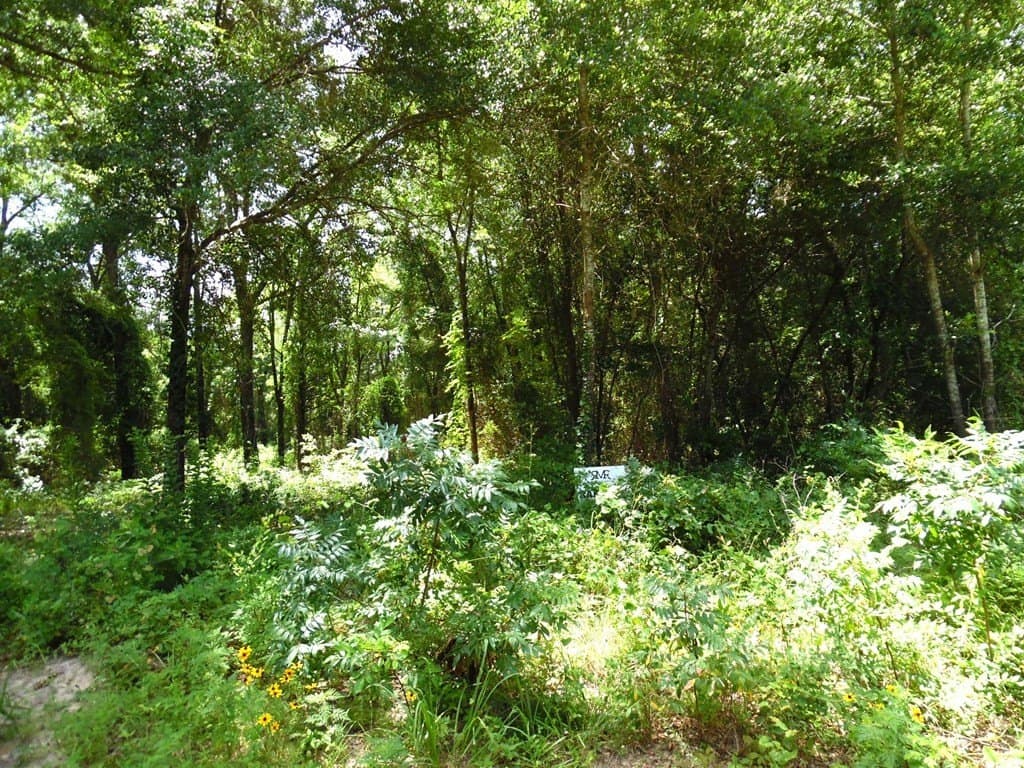 13.05 acres in Van Zandt County - photo 11