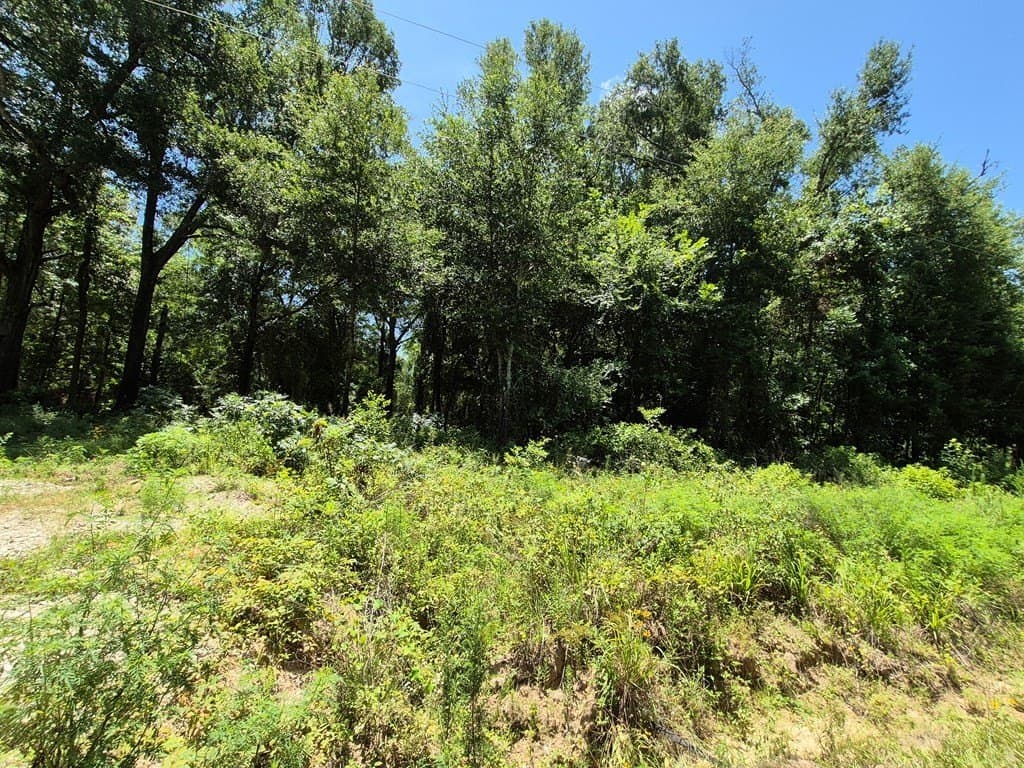 13.05 acres in Van Zandt County gallery image 4