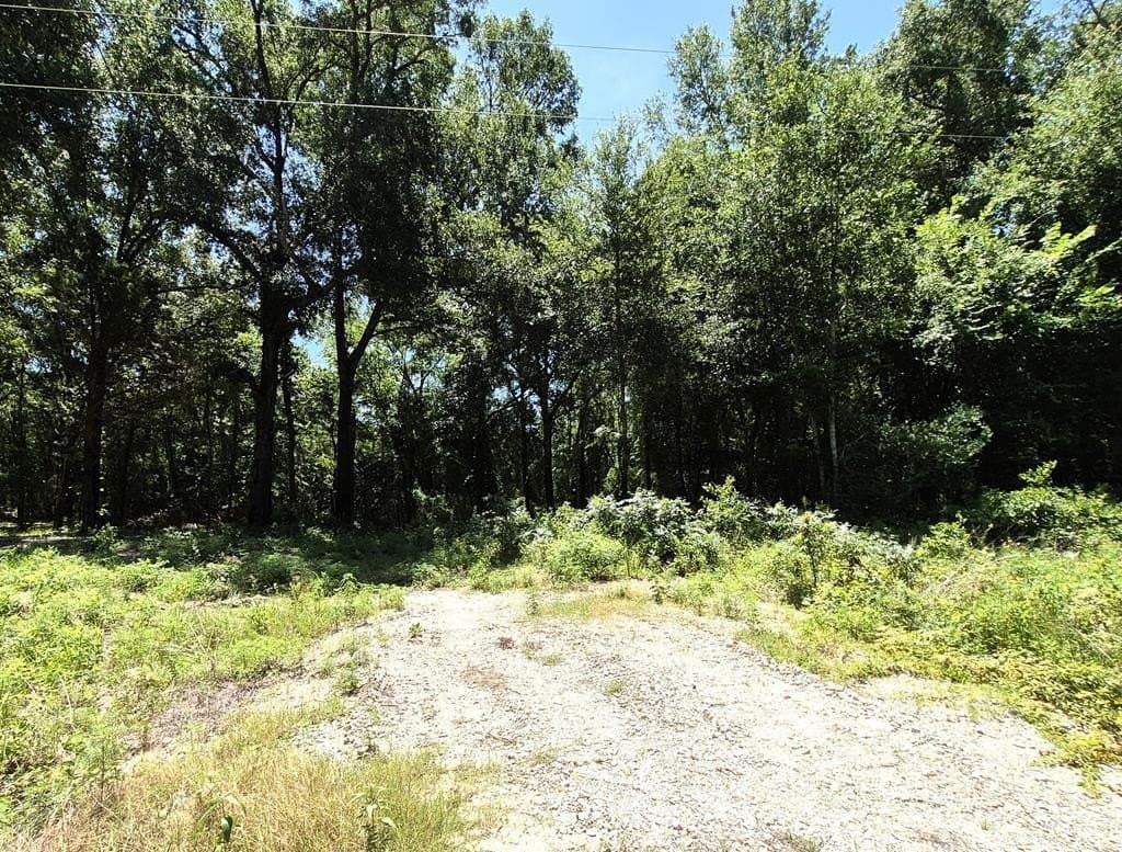 13.05 acres in Van Zandt County gallery image 2