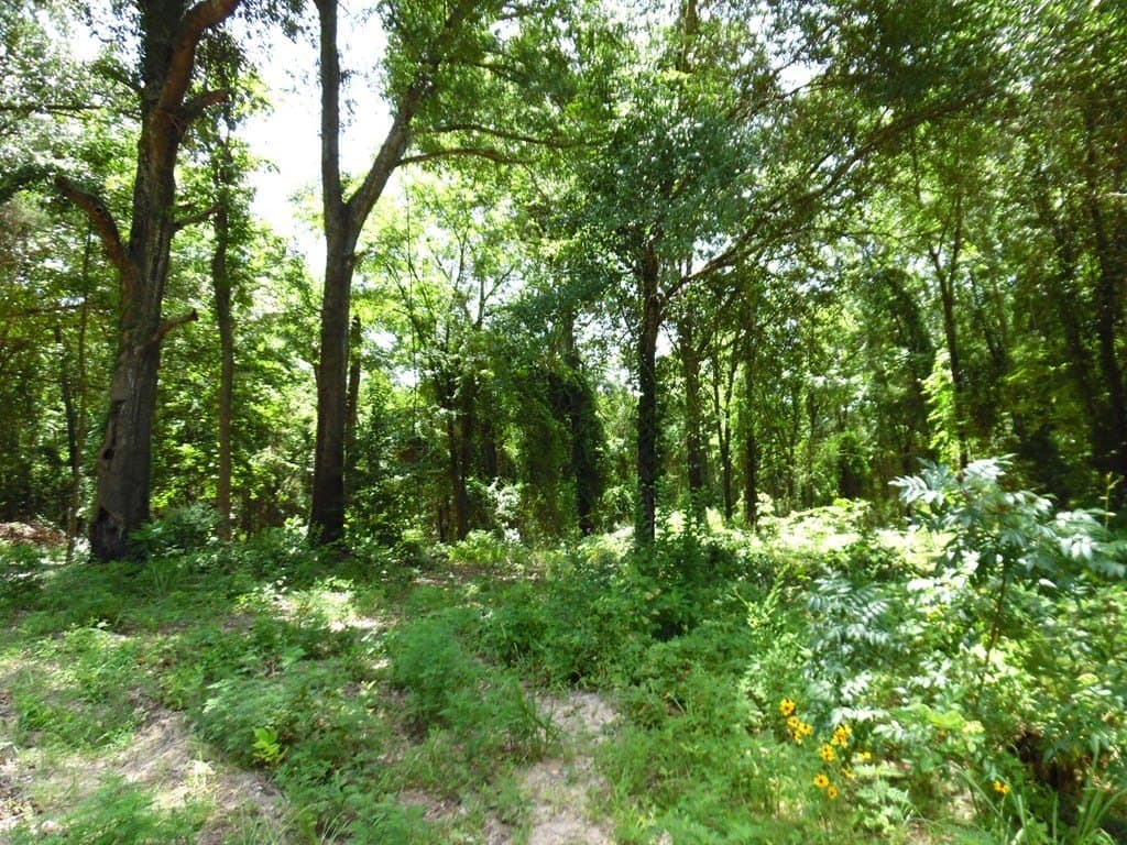 13.05 acres in Van Zandt County - photo 8