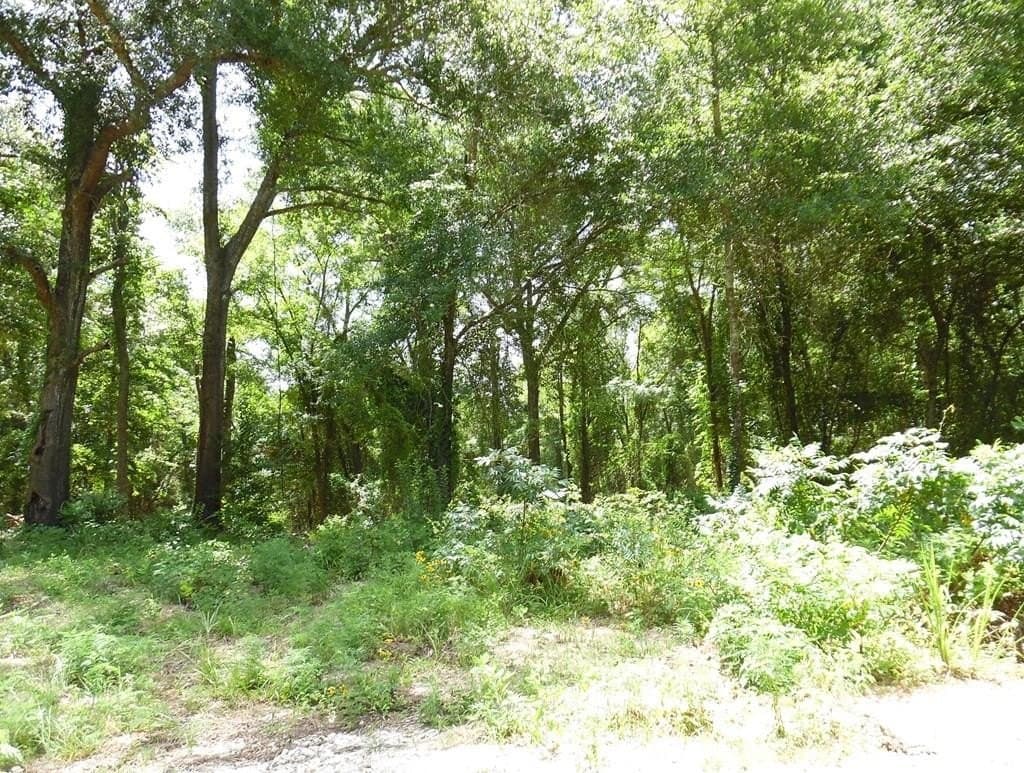 13.05 acres in Van Zandt County