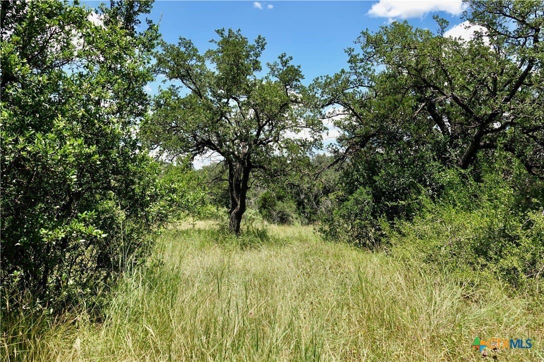 16 acres in Mills County - photo 26