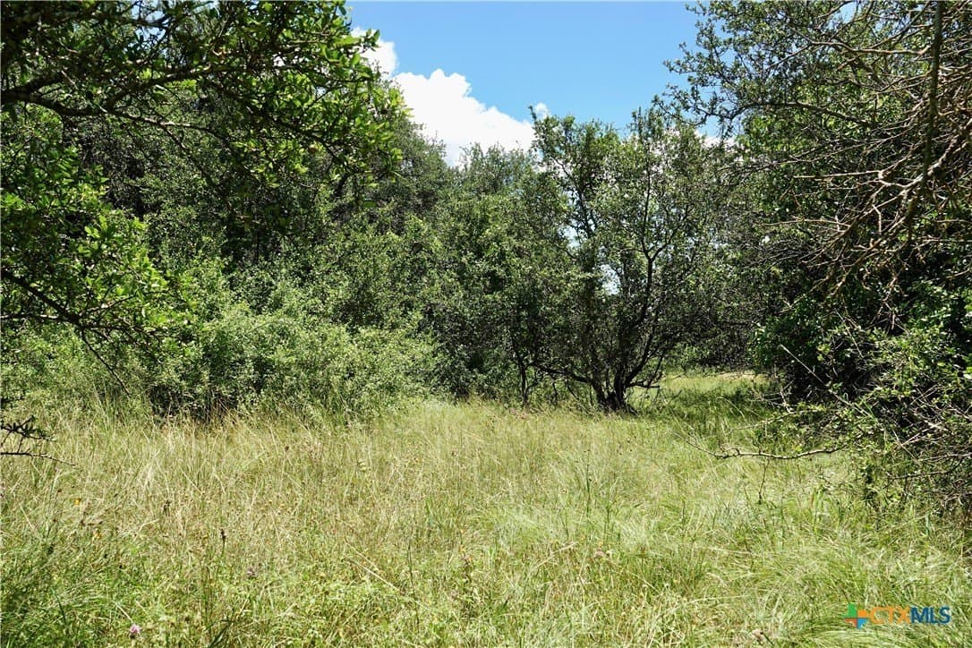 16 acres in Mills County - photo 27