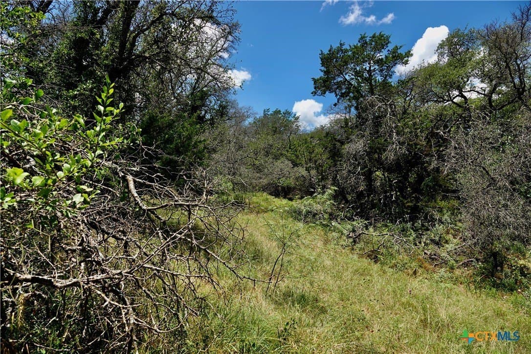 16 acres in Mills County - photo 30