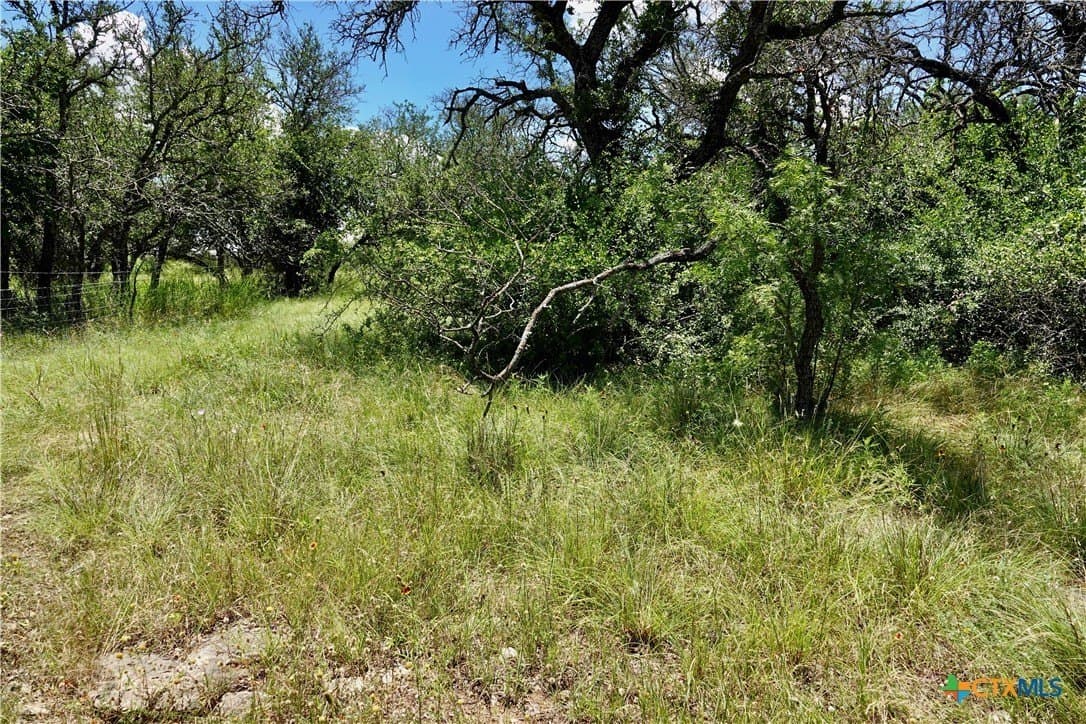 16 acres in Mills County - photo 29
