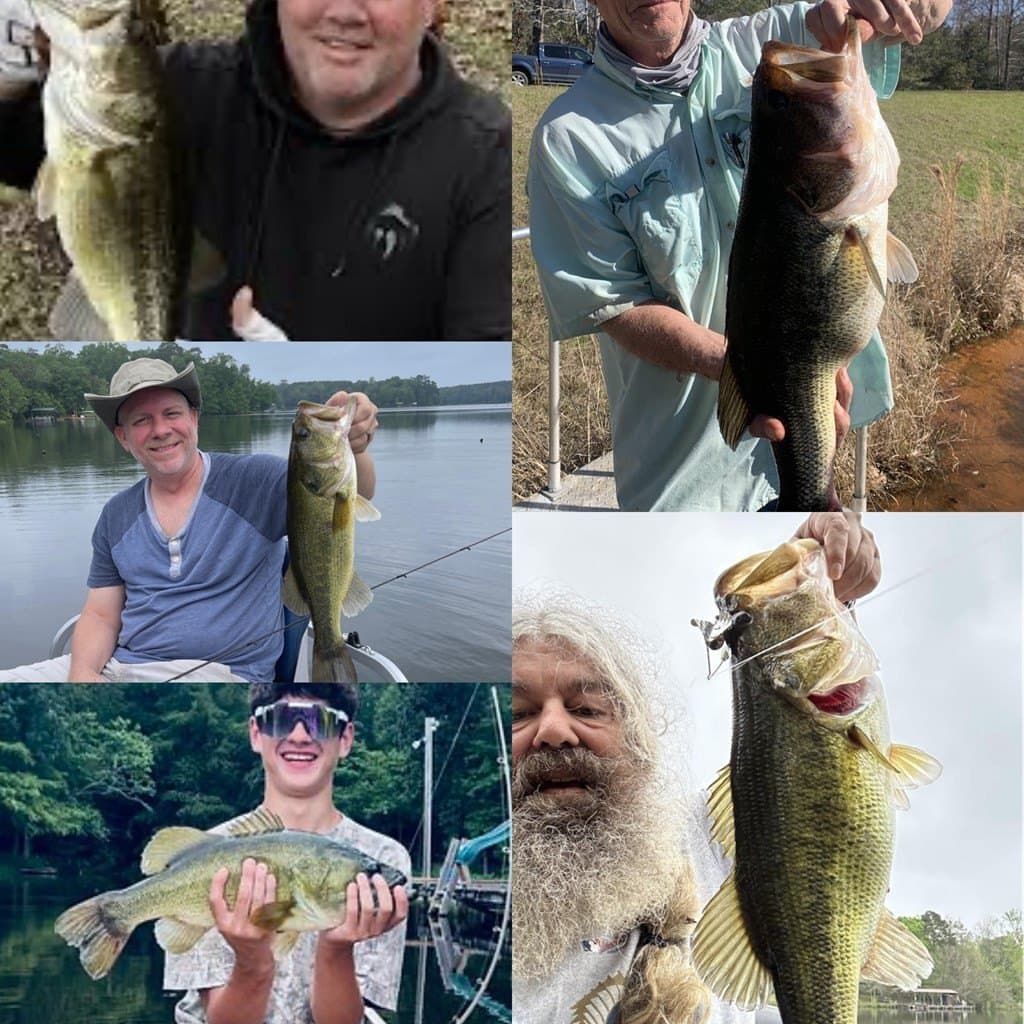 0.4 acres in Texas County gallery image 4