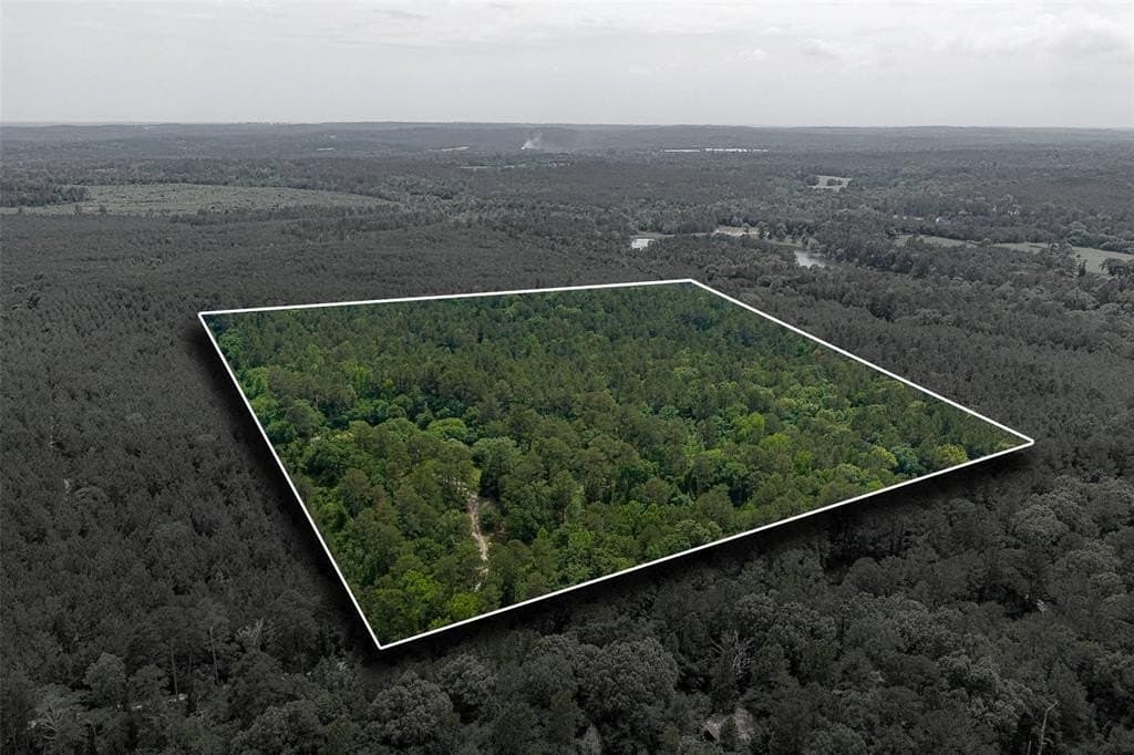 37.86 acres in Anderson County gallery image 4