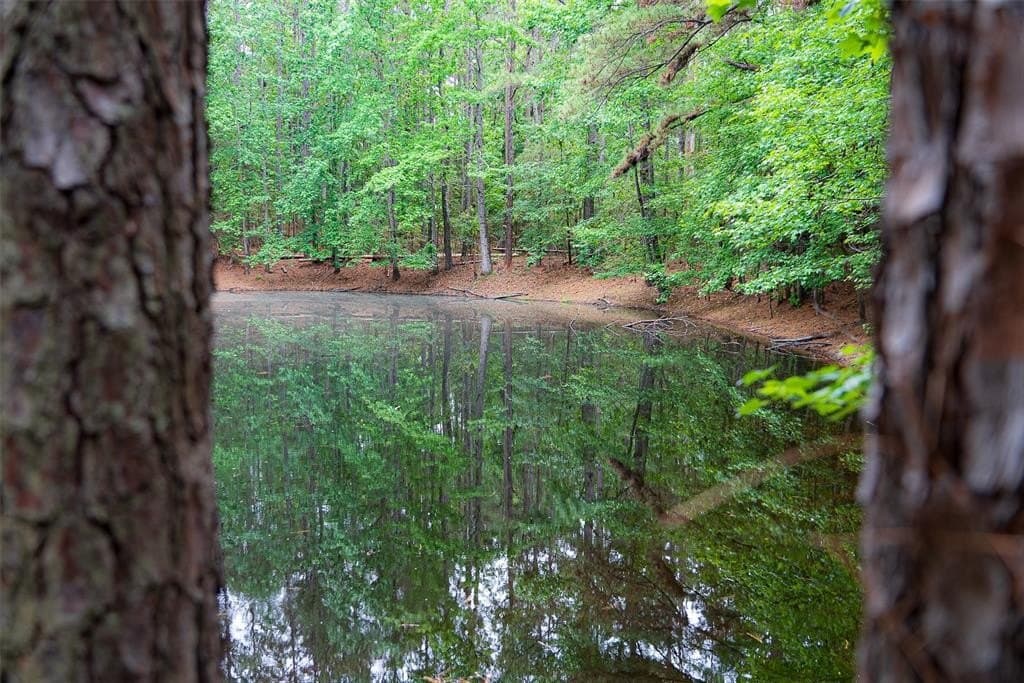 37.86 acres in Anderson County gallery image 3