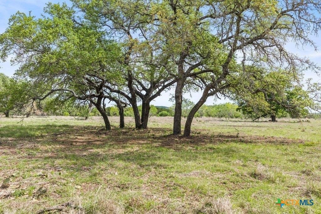 10.03 acres in Burnet County - photo 12