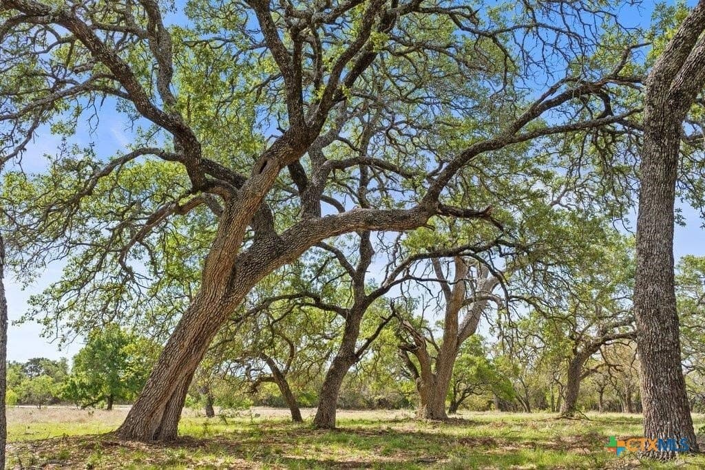 10.03 acres in Burnet County - photo 24