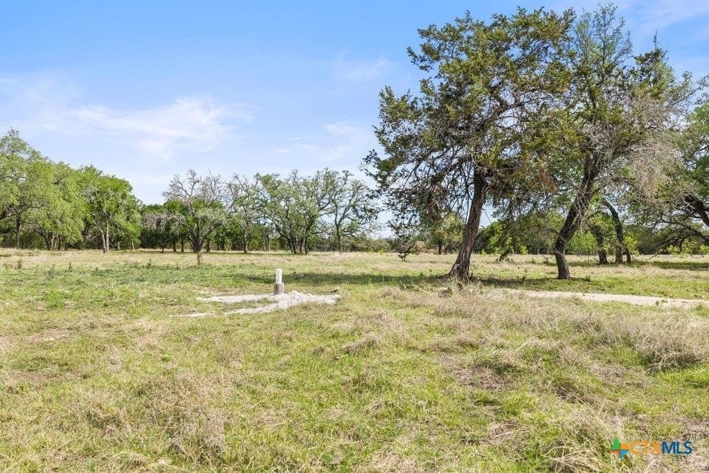 10.03 acres in Burnet County - photo 7
