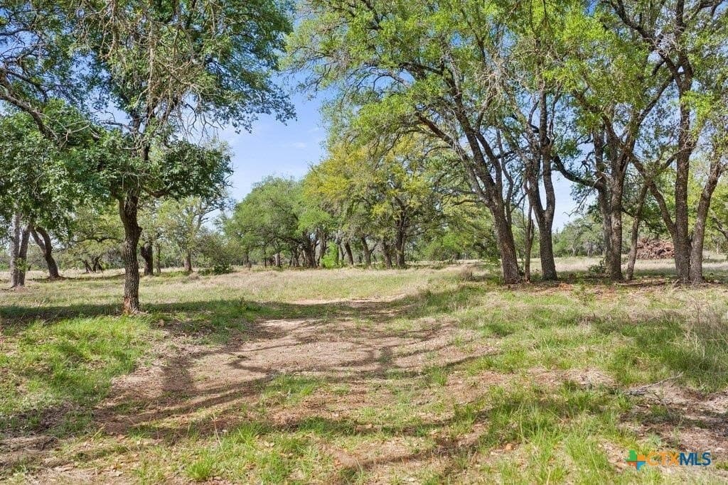 10.03 acres in Burnet County gallery image 4