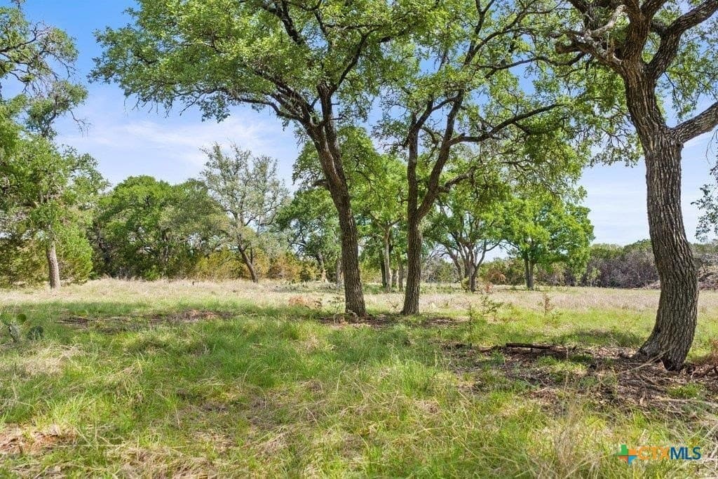 10.03 acres in Burnet County - photo 17