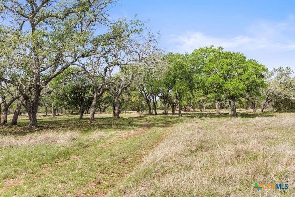 10.03 acres in Burnet County - photo 15