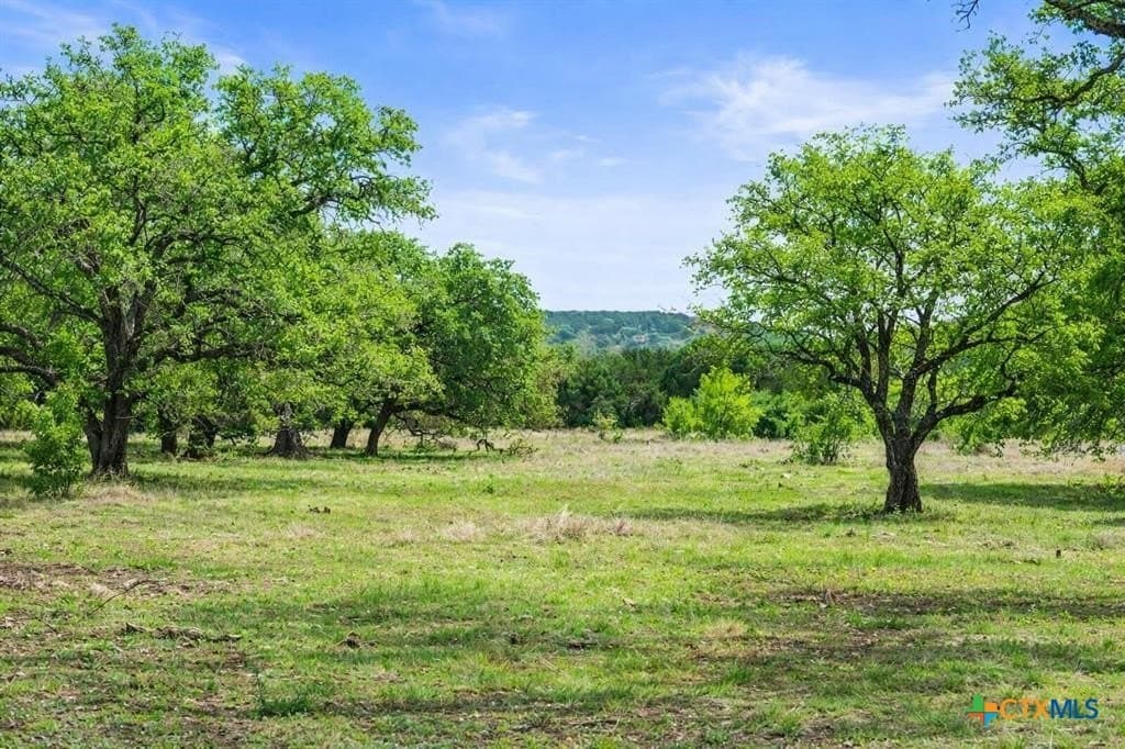 10.03 acres in Burnet County - photo 11