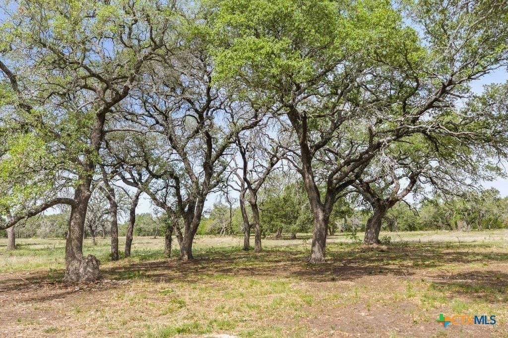 10.03 acres in Burnet County - photo 9