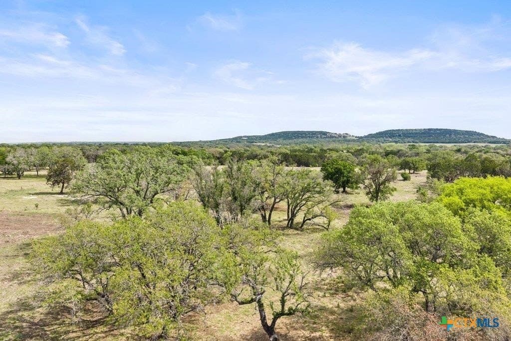 10.03 acres in Burnet County gallery image 3